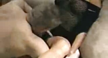 alexis fawx sex Kimm kim kim được fucked bởi một người lạ và bị phim set gai dep ướt với kiêm.